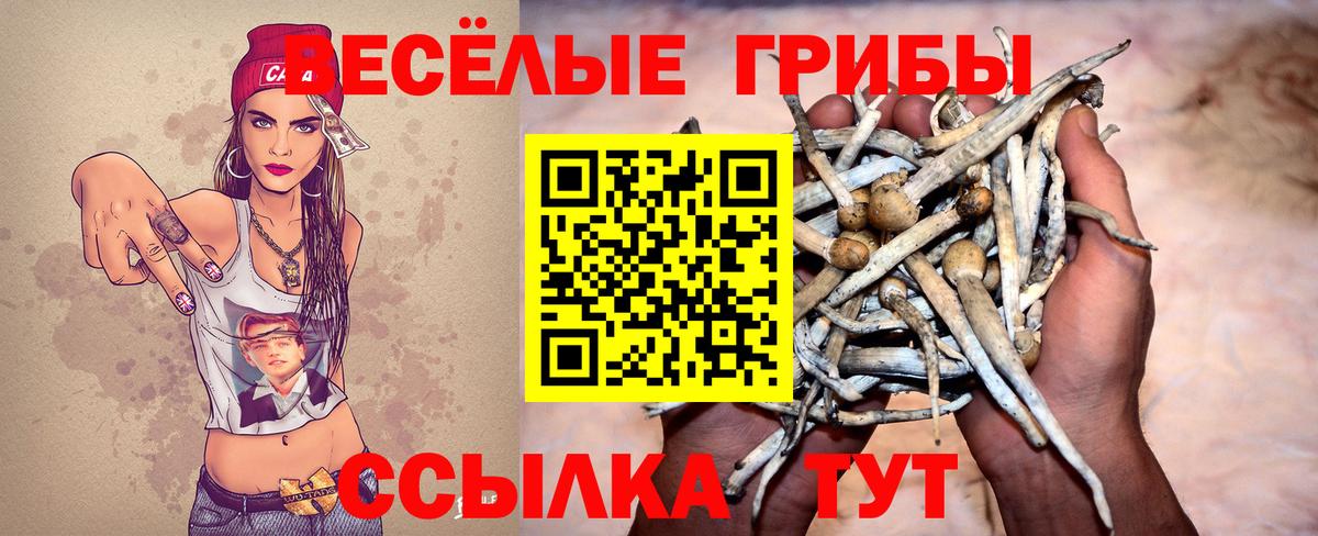 Пенза  Галлюциногенные грибы MAGIC MUSHROOMS  Вход с VPN 